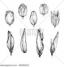 We did not find results for: Set Different Types Vector Photo Free Trial Bigstock