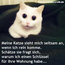Hier gibt es ostergeschichten und projekte sowie kreative ideen rund ums basteln in der osterzeit. Facebook Lustige Und Susse Bilder
