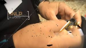 Proiectul de lege privind modificarea unor prevederi din legea cu privire la. Curs Legea 295 Initiere In Domeniul Armelor Si Munitiilor Publikacii Facebook