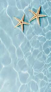 Maybe you would like to learn more about one of these? B A R S A N Wildsunshine Summer Themed Wallpaper Summer Wallpaper Ocean Wallpaper