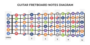 How To Learn The Fretboard Guitar Fretboard Diagram