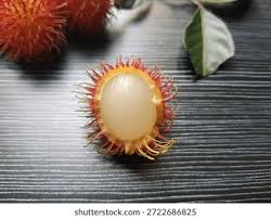 Image result for Sapindaceae