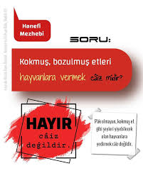 Hayvan Bozulmus Et Caiz Helal Haram Hayvan Islam Din