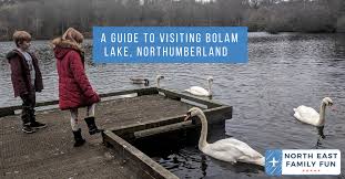 The great lakes consist of five lakes in north america, on the border between the united states and canada. A Guide To Visiting Bolam Lake Northumberland North East Family Fun