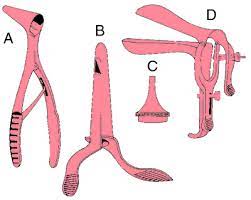 From latin speculum (mirror), from specere (to see; Speculum Definition Of Speculum By Medical Dictionary