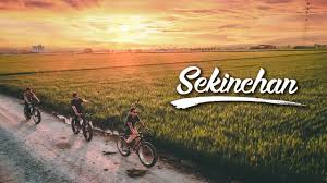 Sekinchan ialah sebuah pekan yang terletak di negeri selangor darul ehsan, malaysia. Sekinchan Ni Betul Betul Cantik Atau Hype Tempat Menarik Di Selangor Youtube