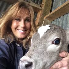 Freezing peach cookies and strawberry jello cookies