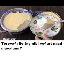 Tereyagi Ile Tas Gibi Yogurt Nasil Mayalanir Nohut Ile Yogurt Mayalamak Limon Ile Yogurt Mayalamak Derken Bugun Sizlere Gercekten De Tas Food Desserts Pudding
