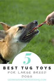 Tug Of War Is A Fun Game To Add To Your Dog S Play Routine It Provides Great Physical And Mental Exercise For Your Dog An Dog Toys Large Dog Breeds Tug