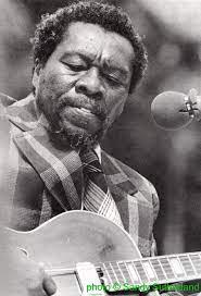 Joe Willie Wilkins At Ann Arbor 1973 Source Blues Unlimited 134 March June 1979 P 13 Photographer Sandy Suth Blues Artists Blues Musicians Blues Music