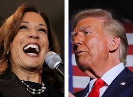 Long lines and strong opinions at Manchester area polls