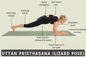 Lizard Pose Uttan Pristhasana How To Do Varaitions Benefits Fitsri