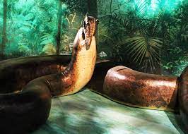 Titanoboa, (titanoboa cerrejonensis), extinct snake that lived during the paleocene epoch (66 million to 56 million years ago), considered to be the largest known member of the suborder serpentes. Titanoboa Wikipedia