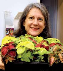 82f61425e76cec694dab6142c9b3c6aef61a3ac5efe74a92e3f500d95ebf7516