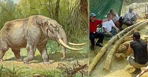 Image result for The ancients also saw fossils