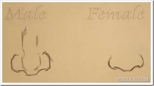 Get Ahead With This Nose Drawing Tutorial How to draw a nose.