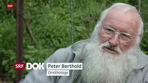 Peter Berthold