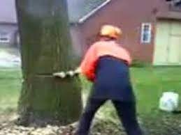 Check spelling or type a new query. Baumfallung Geht Schief Youtube