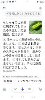 サコケに刺された！ : ラブ甲州