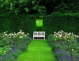 3 563 031 просмотр3,5 млн просмотров. Beautiful Gardens Garden Green Exotic Flower Wallpaper Garden 2015376 Hd Wallpaper Backgrounds Download