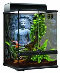 Exo Terra Sri Lanka Rainforest Terrarium Kit Click Images To Low Prices Aquarium Fish Tank Decorations Cool Fish Tanks