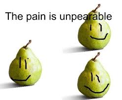 Pin By Laura On Memes Stupid Memes Stupid Funny Memes Funny Memes