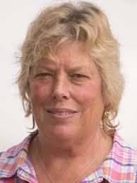 Fowlerville Family Fair brings country fun