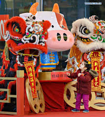 To celebrate the chinese new year , chinese people always put up the new year decorations about one week before. Chinese Lunar New Year Decorations Seen In Canada Global Times