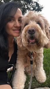 Help us get our @GreatNonprofits 2025 Top-Rated Award, write a review of  your experience with us!