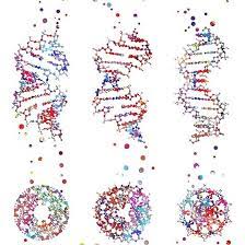 A B Z Dna Dna Molecule Watercolor Dna Dna Molecule Z Dna Dna Dna Molecule
