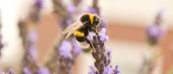 But all the samples are written with. An Introduction To Android Instant Apps Willowtree