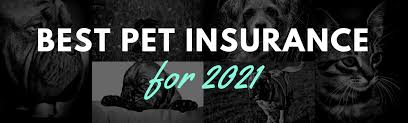 Check out our full reviews to learn more. 2021 Pet Insurance Reviews The 6th Annual Comprehensive Review 365 Pet Insurance