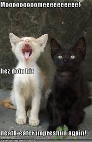 Untitled Harry Potter Jokes Harry Potter Memes Harry Potter Funny