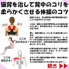 猫背を治して背中のコリを柔らかくさせる体操のコツ 体操 お尻トレーニング 肩こり 解消