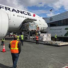 Delta pet cargo reservations cannot be made more than 14 days prior to the departure of your flight we are moving in august or september, and would like to ship our two labradoodles from pdx to mci. Alerts Delta Cargo
