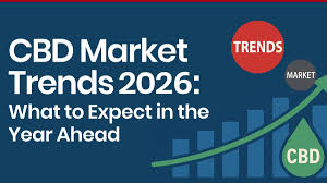 Top 8 CBD Market Trends You Need to Know in 2026