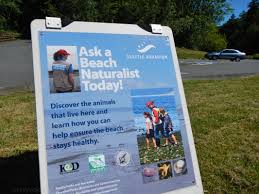 We did not find results for: Exploring Saltwater State Park Des Moines Wa Everyone S Travel Club