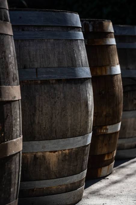 Un nuevo vermut que une la birra cordillerana con el Malbec del Alto Valle