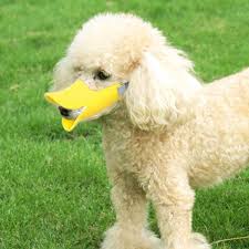 Even Other Dogs Will Laugh When You Muzzle Your Dog With A