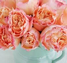 Maybe you would like to learn more about one of these? Great Roses For A Pinky Peach Color Scheme Coral Bouquet Wedding Seafoam Wedding Coral Wedding
