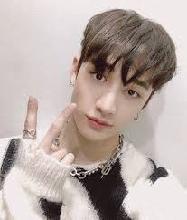 Pin By Soni Jisungi On Channie In 2020 Stray Kids Chan Chris Chan Stray