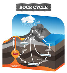 Such material, called detritus, consists of fragments of rocks and minerals. How Do Sedimentary Rocks Form Sedimentary Sandwich Laptrinhx News