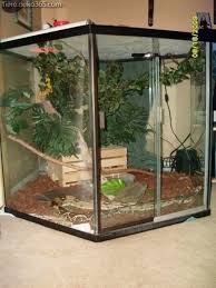 Die Besten Beangstigender Kafig Welcher Schlange Snake Cages Reptile Cage Snake Terrarium