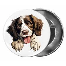 Image result for anglický špringršpaněl