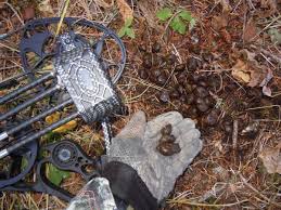 We did not find results for: How Much Do You Know About Deer Poop Grand View Outdoors