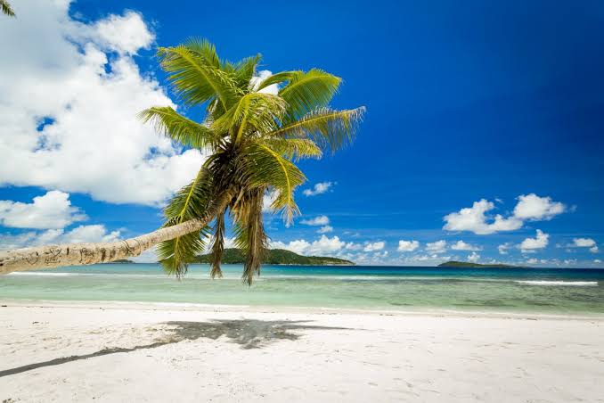 Top 5 Most Beautiful Beaches in the World - AquaMobile Swim School