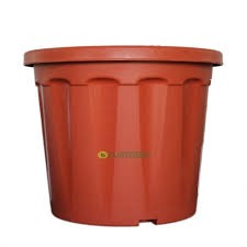 Find great deals on ebay for artificial potted cactus. Buy Blossom Pot Tc Brown 18 Inch Pack Of 2 Online At Plantsguru Com