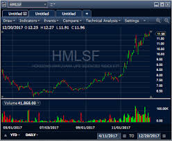 244 Marijuana Stocks Buying The Winners And Tracking The