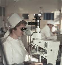 Eine biographische studie aus der. Die Hochburg Der Optikindustrie Veb Zeiss Alltag Ost