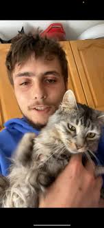 French bulldog named Violet at nail salon